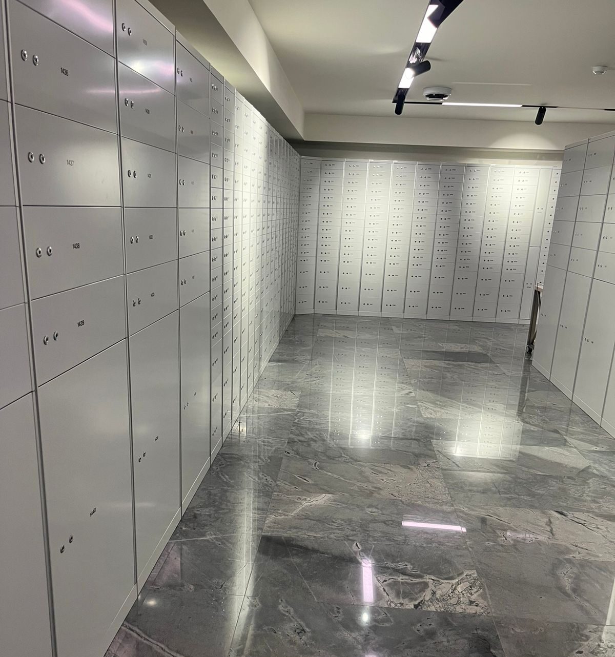 safe deposit lockers SDL for vault rooms